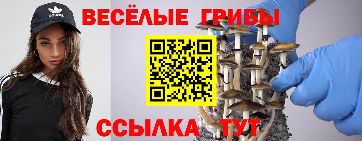 Галлюциногенные грибы Cubensis Карабулак